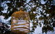 Annie's Victorian Terrace Accommodation Fremantle - thumb 4