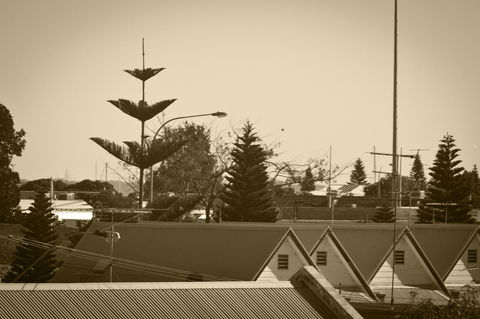 Annie's Victorian Terrace Accommodation Fremantle - Accommodation Port Hedland 2