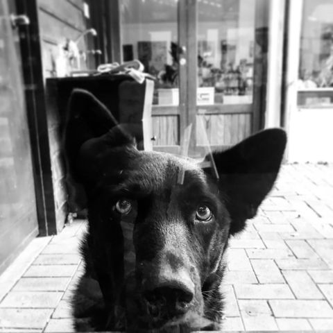 Ironstone Studio Margaret River - Accommodation Port Hedland 16