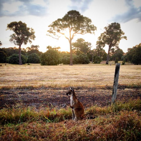 Ironstone Studio Margaret River - Accommodation Port Hedland 18