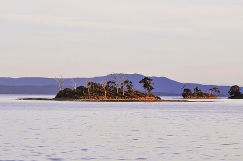 Smugglers Rest Apartments Dover - Accommodation Port Hedland 5