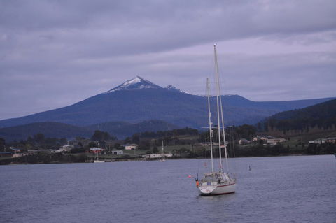 Smugglers Rest Apartments Dover - Accommodation Port Hedland 2
