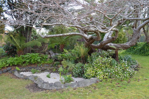 Smugglers Rest Apartments Dover - Accommodation Port Hedland 22