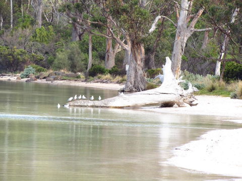The Boat Shed - Accommodation Port Hedland 12