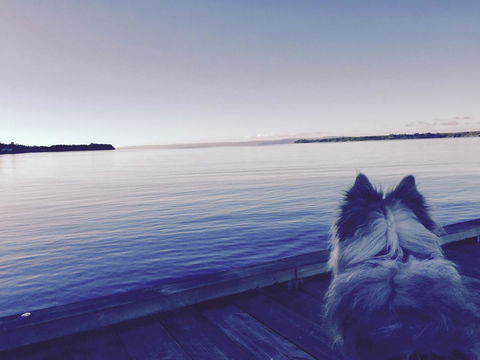 Wandering Geese Boutique Bed And Breakfast - Accommodation Port Hedland 21