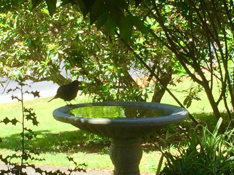 Wandering Geese Boutique Bed And Breakfast - Accommodation Port Hedland 19