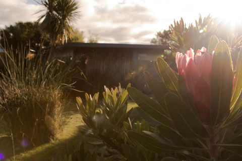 Eagle Peaks At Freycinet - Accommodation Port Hedland 8