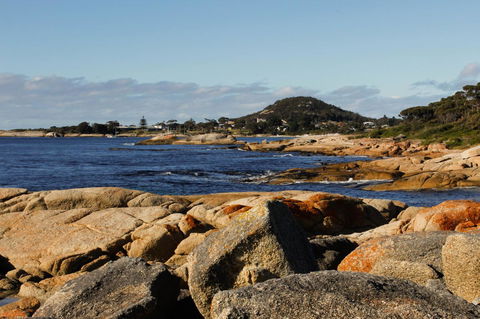 Mermaids Of Bicheno - Accommodation Port Hedland 15