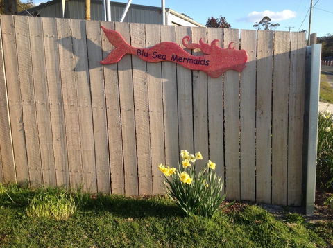 Mermaids Of Bicheno - Accommodation Port Hedland 17