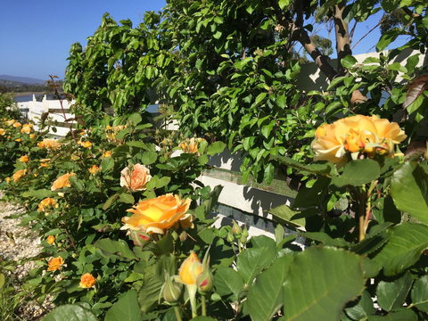 Garden By The Beach - Gateway To The East Coast, Close To Airport - Accommodation Port Hedland 25