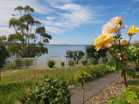 Garden By The Beach - Gateway To The East Coast, Close To Airport - Accommodation Port Hedland 23