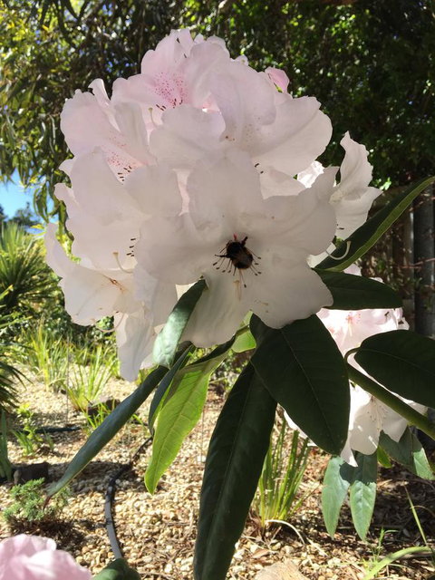 Garden By The Beach - Gateway To The East Coast, Close To Airport - Accommodation Port Hedland 14