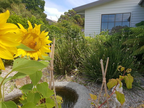 Garden By The Beach - Gateway To The East Coast, Close To Airport - Accommodation Port Hedland 13