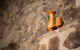 Sanctum Boutique Apartments - thumb 12