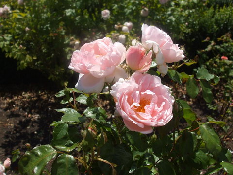 The WeareHouse In Deloraine - Accommodation Port Hedland 39