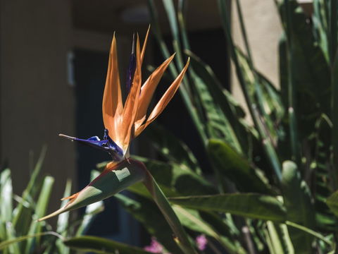 Russell House - Accommodation Port Hedland 2