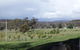 Karoola Cottage Self Contained - thumb 11