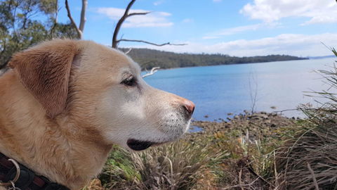 Four Seasons Waterfront Villas - Accommodation Port Hedland 35