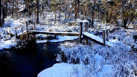 Cradle Mountain Love Shack - Accommodation Port Hedland 10