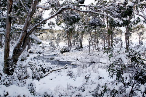 Cradle Mountain Love Shack - Accommodation Port Hedland 11