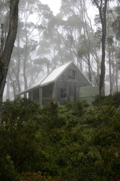 Cradle Mountain Love Shack - Accommodation Port Hedland 6