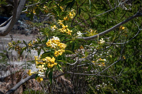 Blu-Sea 365 - Accommodation Port Hedland 8