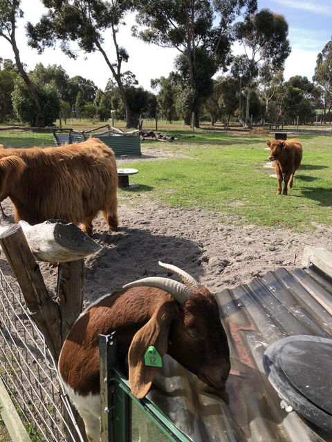 Nutcrackers Lodge - Accommodation Port Hedland 2