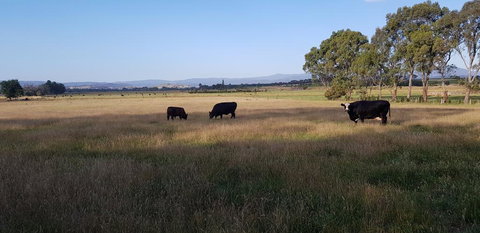 Olinda Yarra Cottage - Accommodation Port Hedland 2