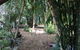 Rainforest, Water Front, River Shack, Secluded. - thumb 0