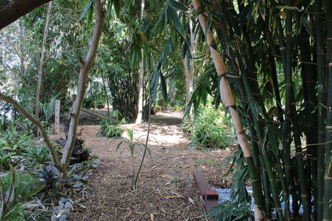 Rainforest, Water Front, River Shack, Secluded. - Accommodation Port Hedland 0