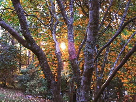 Rendezvous Nexus - Accommodation Port Hedland 3