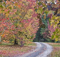Rustic Spirit - Accommodation Port Hedland