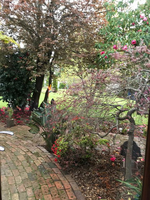 Stony Rise Cottage B&B - Accommodation Port Hedland 1