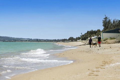 THALASSA HOUSE COASTAL RETREAT DROMANA - Accommodation Port Hedland 2