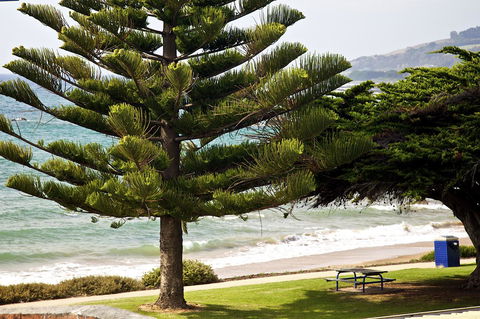 Penguin Beachfront Apartments - Accommodation Port Hedland 9