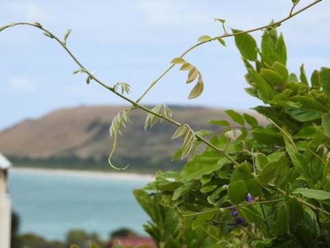 Ellie\'s Cottages - Accommodation Port Hedland 3