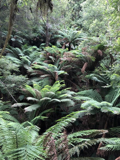 Corinna Wilderness Village - Accommodation Port Hedland 12