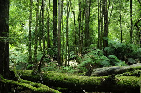 Corinna Wilderness Village - Accommodation Port Hedland 37