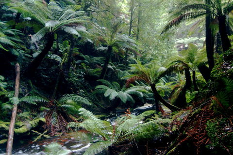 Corinna Wilderness Village - Accommodation Port Hedland 41