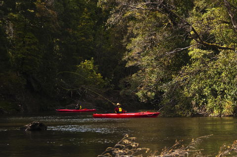 Corinna Wilderness Village - Accommodation Port Hedland 38
