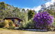 Southern Forest Accommodation - thumb 10