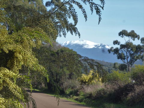 Southern Forest Accommodation - Accommodation Port Hedland 24