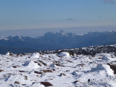 Southern Forest Accommodation - Accommodation Port Hedland 29