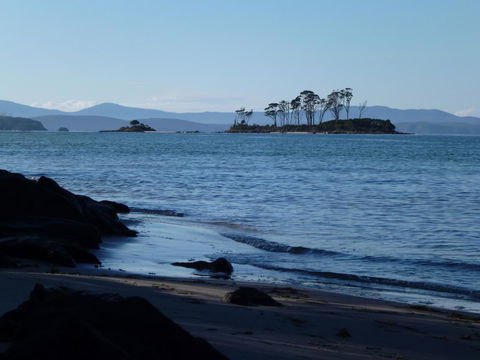 Southern Forest Accommodation - Accommodation Port Hedland 26