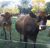 Drumreagh Bed  Breakfast Cabins - Accommodation Port Hedland