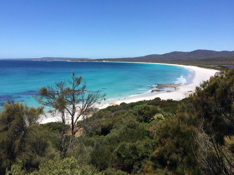Holland House Bay Of Fires - Accommodation Port Hedland 15