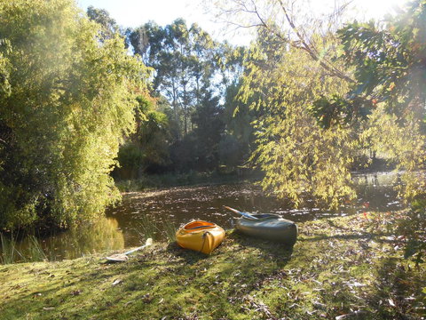 Whispering Spirit Holiday Cottages & Mini Ponies - Accommodation Port Hedland 6