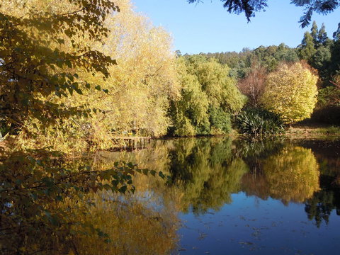Whispering Spirit Holiday Cottages & Mini Ponies - Accommodation Port Hedland 7