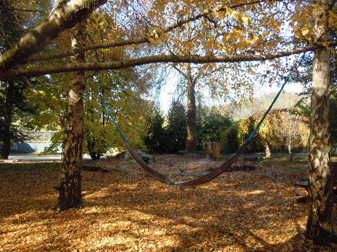 Whispering Spirit Holiday Cottages & Mini Ponies - Accommodation Port Hedland 5