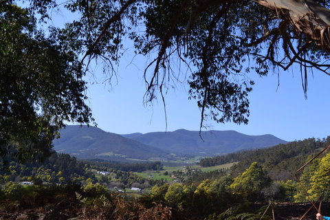 Whispering Spirit Holiday Cottages & Mini Ponies - Accommodation Port Hedland 14